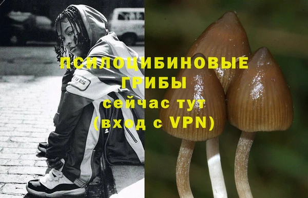 а пвп мука Горно-Алтайск
