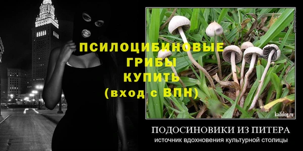 спиды Горняк