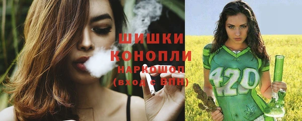 спиды Горняк