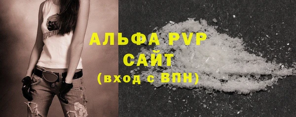 спиды Горняк