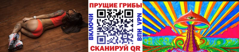Галлюциногенные грибы Psilocybine cubensis  kraken ссылки  Далматово 